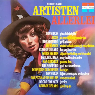 Nederlandse artisten allerlei by Various Artists - album cover