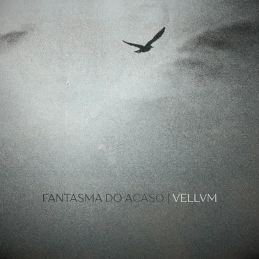 Vellvm | Fantasma do Acaso
