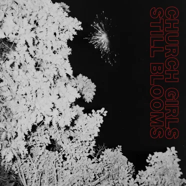 Still Blooms by Church Girls - album cover