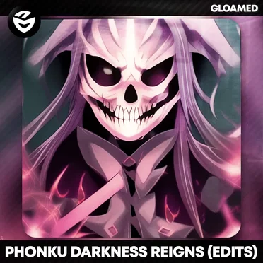 Darkness Reigns (edits) by Phonku - album cover
