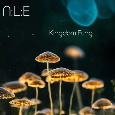 Kingdom Fungi
