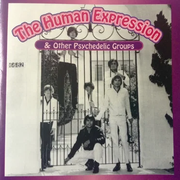 The Human Expression & Other Psychedlic Groups by Various Artists - album cover