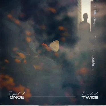 I Said It Once I Said It Twice