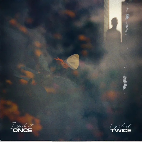 I Said It Once I Said It Twice