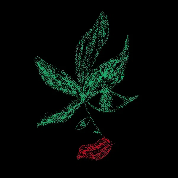 清純派