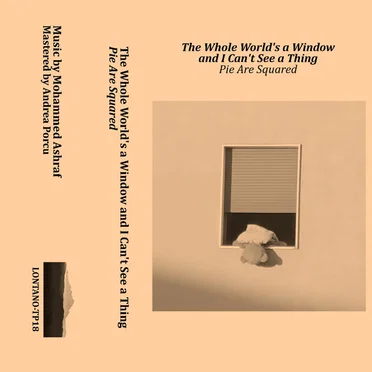 The Whole World’s a Window and I Can’t See a Thing