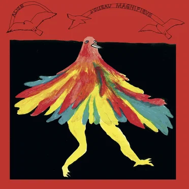 L’oiseau magnifique