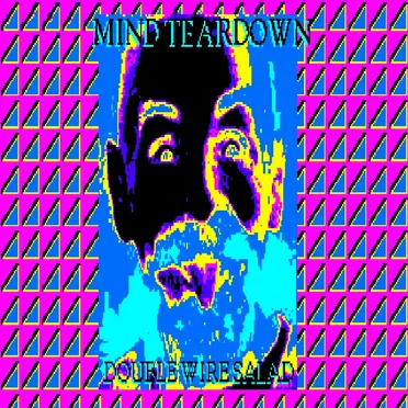 Double Wire Salad by Mind Teardown - album cover