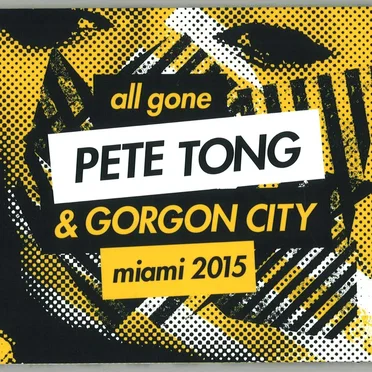 All Gone: Miami 2015