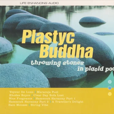Throwing Stones in Placid Pools by Plastyc Buddha - album cover