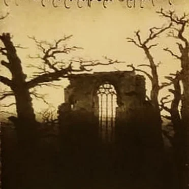 Destroyed Kingdom Spotted by Lie by In The Depth Of Night - album cover