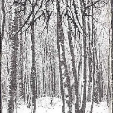 Tristesse hivernale