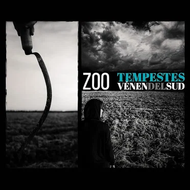 Tempestes vénen del sud