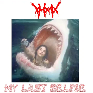 My Last Selfie by xHx1x - album cover