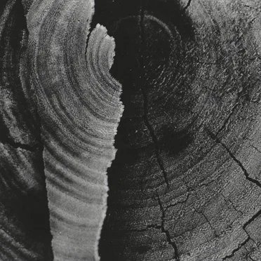 Live on X-Rated, KINK FM Hilversum The Netherlands. October 10th 2004.