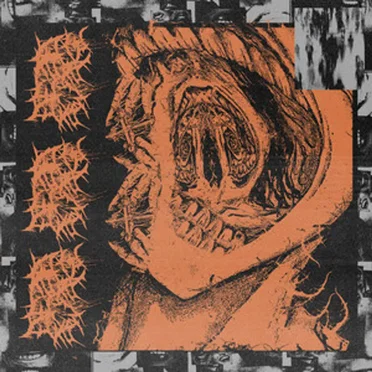 Feral