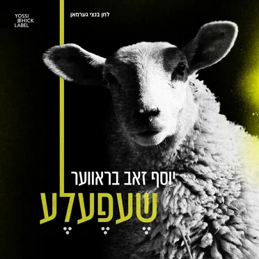 Shefele by Yosef Zev Braver - album cover