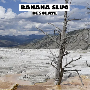 Desolate