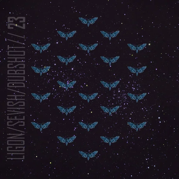 23