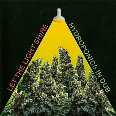 Let the Light Shine: Hydroponics in Dub