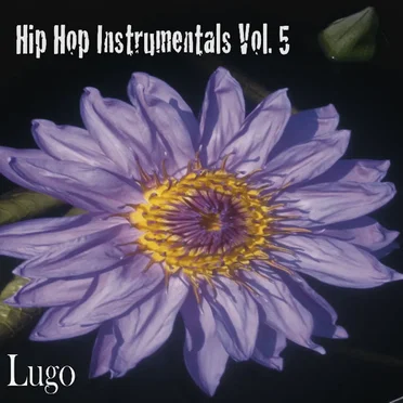 Hip Hop Instrumentals Vol. 5