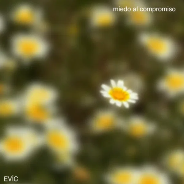 miedo al compromiso
