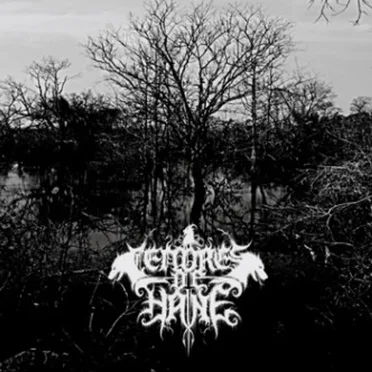 Nihil Mirari by Cendres de Haine - album cover