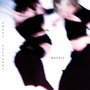 Chats sauvages by Mayfly - album cover