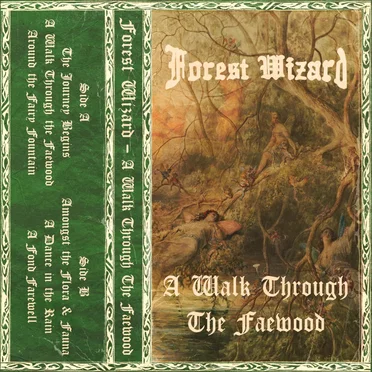A Walk Through The Faewood by Forest Wizard - album cover
