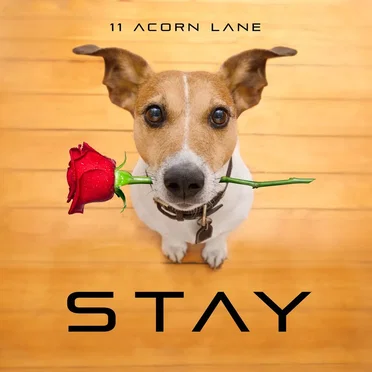 Stay by 11 Acorn Lane - album cover