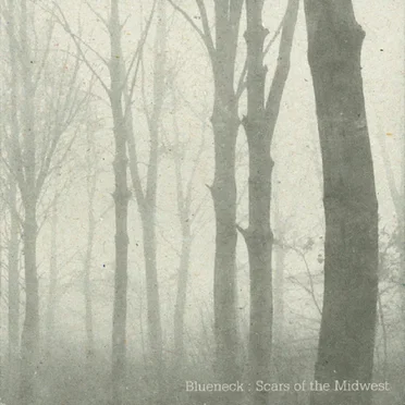 Scars of the Midwest