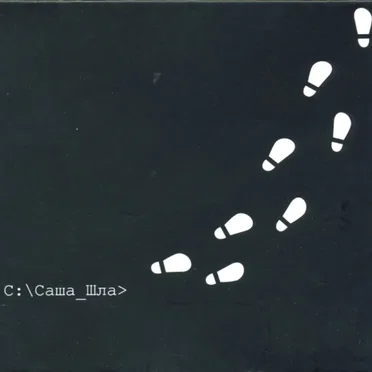 Саша шла