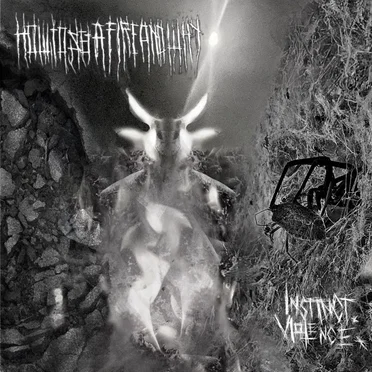 Instinct. Violence. by how to set a fire and why - album cover