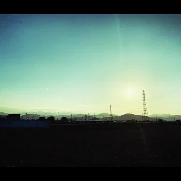 sunlight
