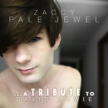 Pale Jewel... A Tribute to David Bowie by Zaccy - album cover