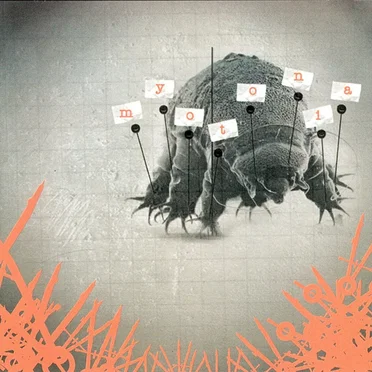 Myotonia by Myotonia - album cover