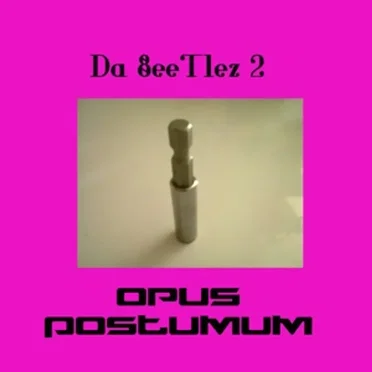 Opus Postumum