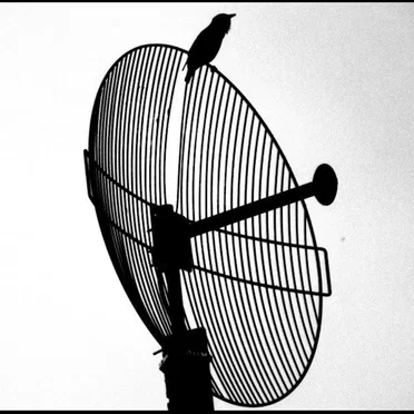 Broadcaster/Believer/Revelator/Repeater by Jonny Grave - album cover