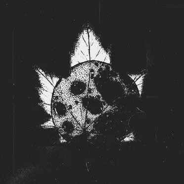 Меж клёнов раскидистых by И эти губы, и глаза зелёные - album cover