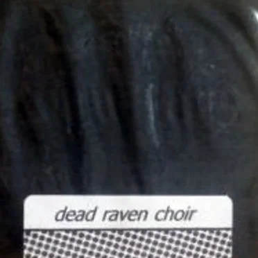 Sturmfuckinglieder by Dead Raven Choir - album cover