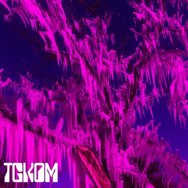 TGKOM EP by The Good Kind of Mushroom - album cover
