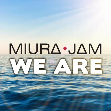 We Are (from "One Piece")