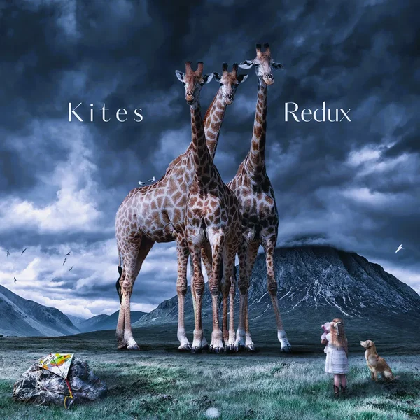 Kites Redux