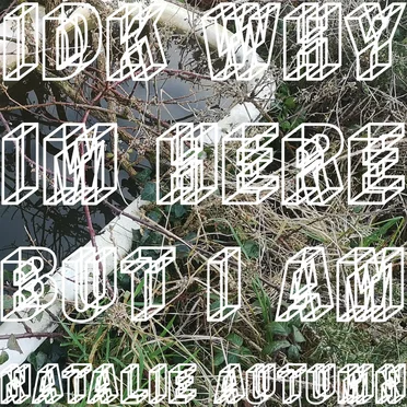 idk why im here but i am