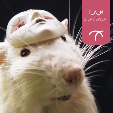 Silk / Sweat by T_A_M - album cover