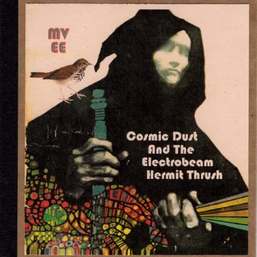 Cosmic Dust and the Electrobeam Hermit Thrush