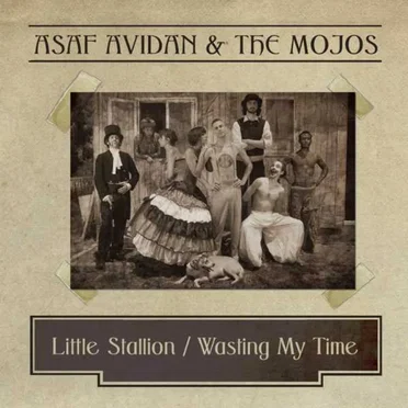 Little Stallion by Asaf Avidan & the Mojos - album cover