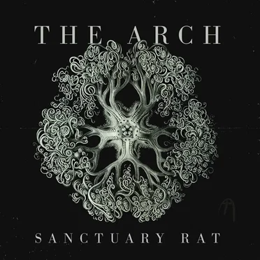 Sanctuary Rat
