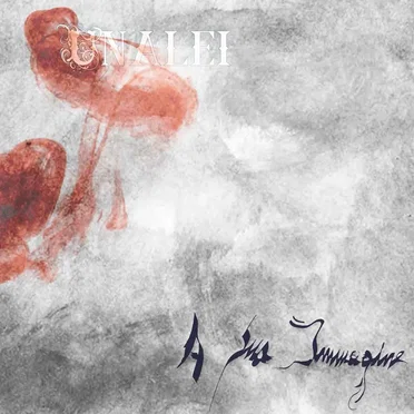 A sua immagine by Unalei - album cover
