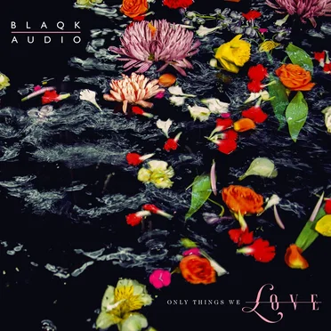 Only Things We Love by Blaqk Audio - album cover